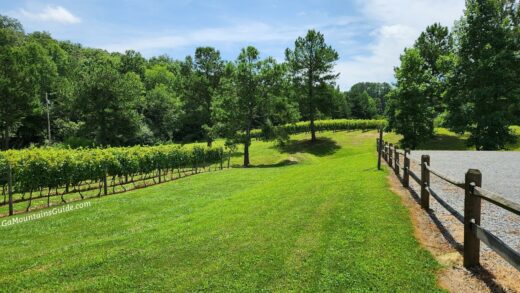 Bear Claw Vineyards Winery