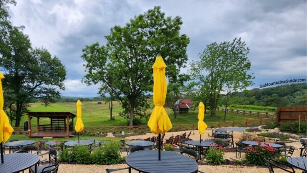 Buckley Vineyards in Ellijay