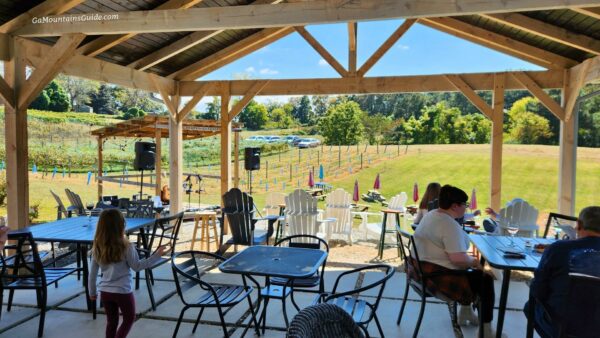 Grapes and Ladders Ellijay GA