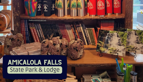 Amicalola Falls State Park Gift Shop