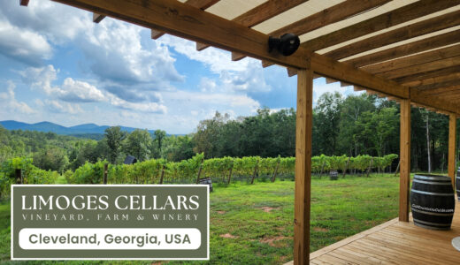 Limoges Cellars Vineyard Cleveland