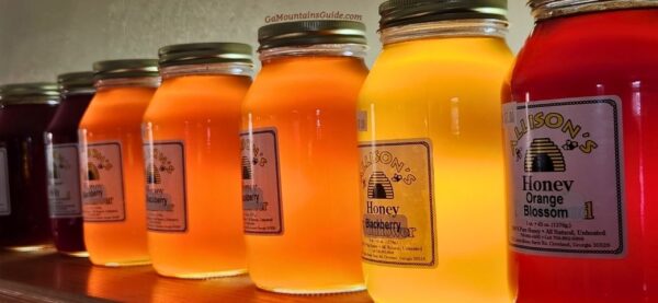 Tesnatee River Winery and Meadery Allison's Honey