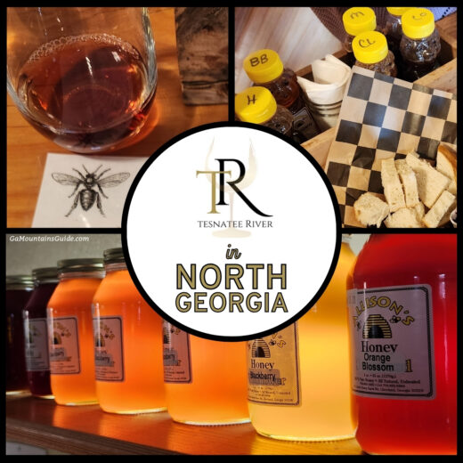 Tesnatee River Winery in Dahlonega GA