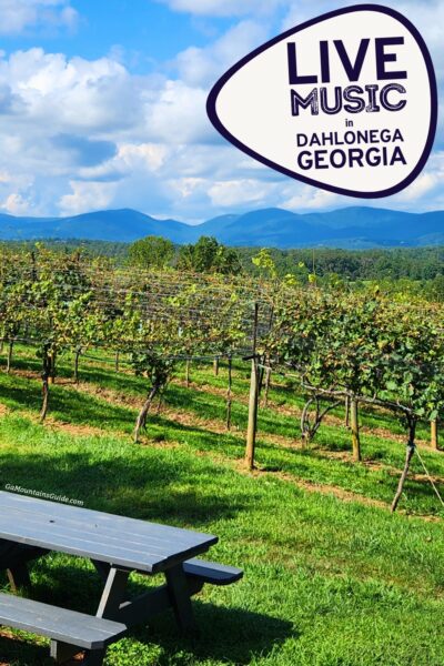 Kaya Vineyards Live Music Dahlonega Georgia