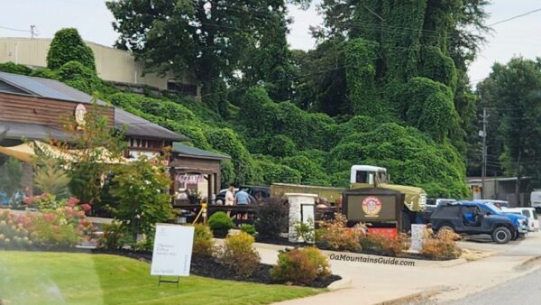 Grumpy Old Men Brewing in Blue Ridge, GA