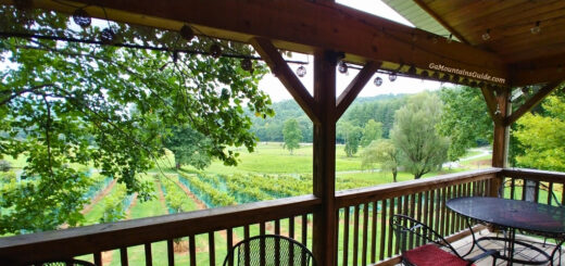 Hightower Creek Vineyards Covered Deck Summer Views