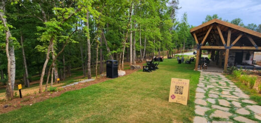 Doghobble Wine Farm Scenery