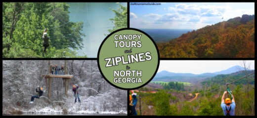 North Georgia Zipline Canopy Tours