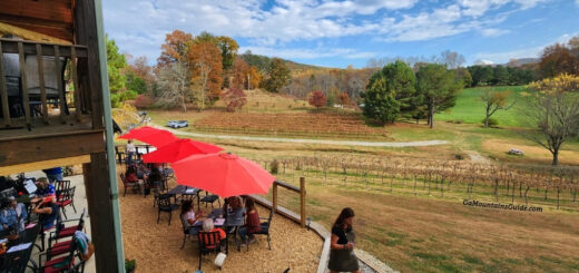 Redtail Mountain Vineyard in North Georgia