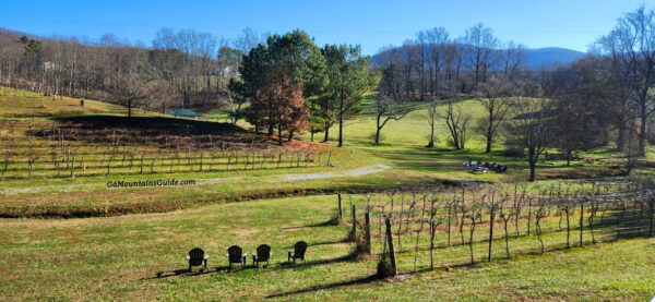 Redtail Mountain Vineyard Blairsville GA