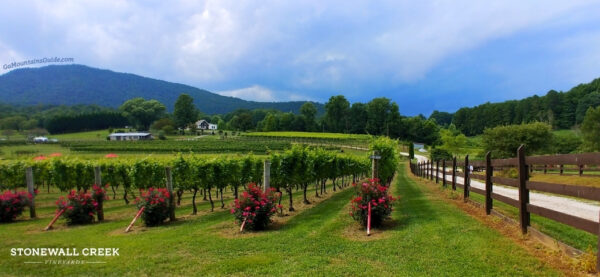 Stonewall Creek Vineyards Georgia