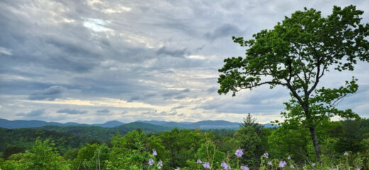 Mountain views at Creekstone Winery in Sautee GA