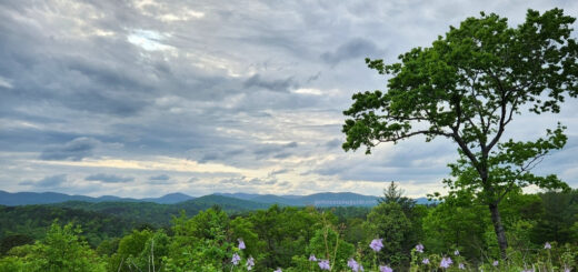 Mountain views at Creekstone Winery in Sautee GA
