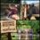 Horseback Riding in the Georgia Mountains