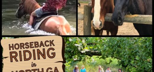 Horseback Riding in North Georgia Mountains