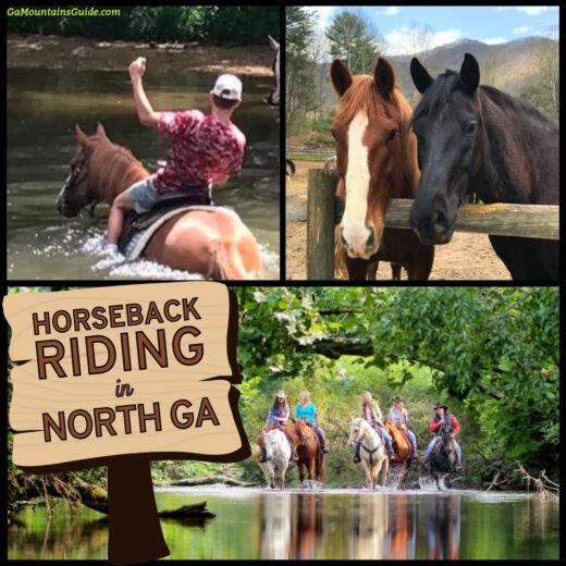 Horseback Riding in North Georgia Mountains