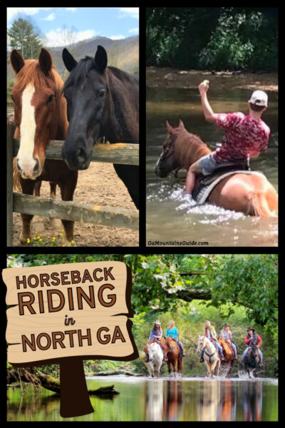 North Georgia Horseback Riding