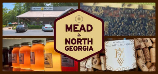 North Georgia Mead