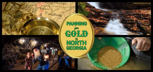 Panning for Gold in Georgia