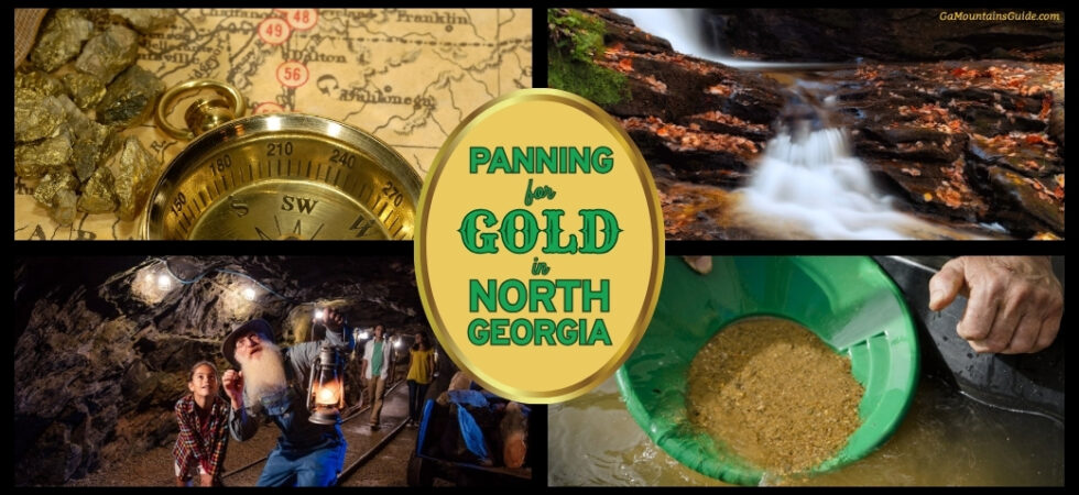 Panning for Gold in Georgia