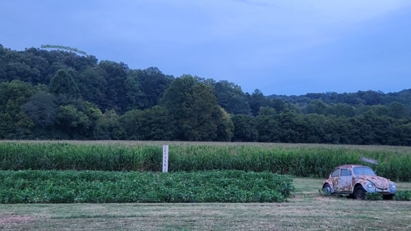 North Georgia Corn Maze Town Creek Valley Farms