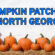Pumpkin Patches in North Georgia