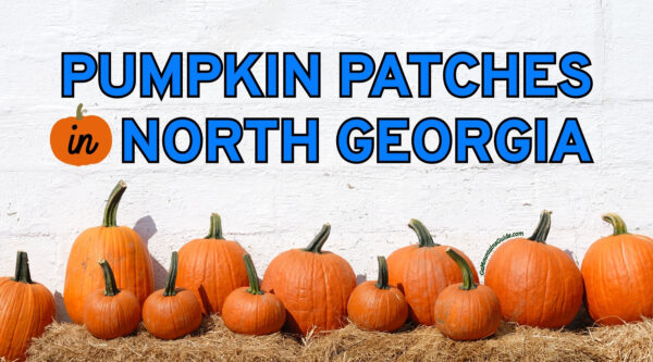 Pumpkin Patches in North Georgia