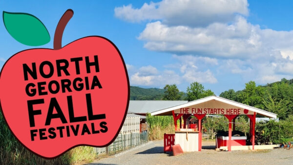 Apple Pickin Jubilee at Hillcrest Orchards in Ellijay GA