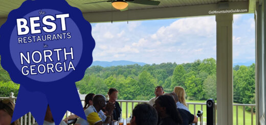 Best Restaurants in North GA