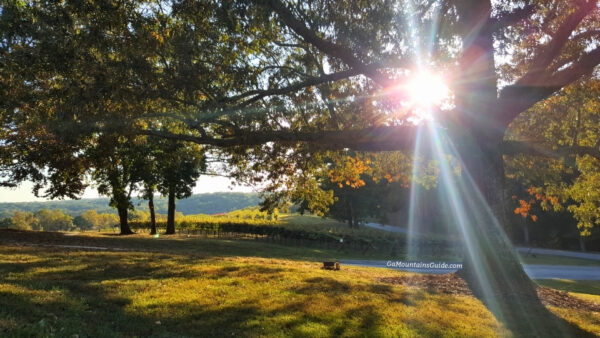 Brunch at Montaluce Winery in Dahlonega GA