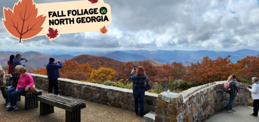 Brasstown Bald Overlook Georgia Fall Foliage