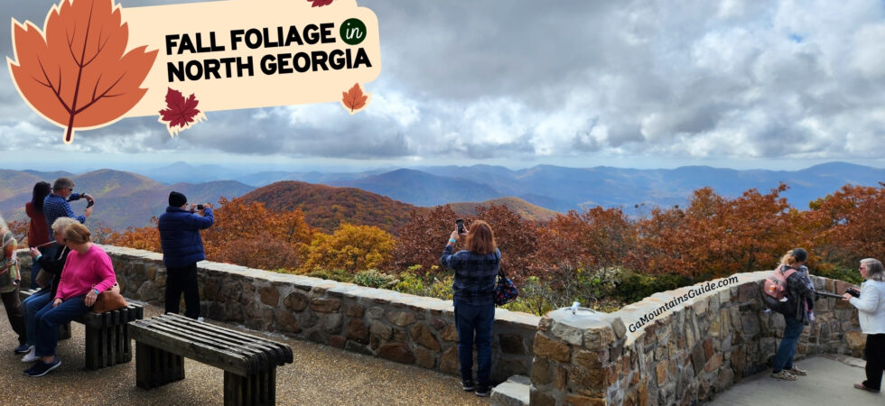 Brasstown Bald Overlook Georgia Fall Foliage