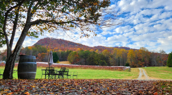 Fall Colors at Tiger Mountain Vineyards in Tiger GA