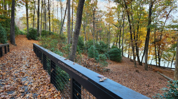 Fall Foliage at Hamilton Rhododendron Gardens in Hiawassee GA (10-30-2024)