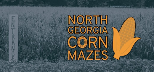 North Georgia Corn Mazes