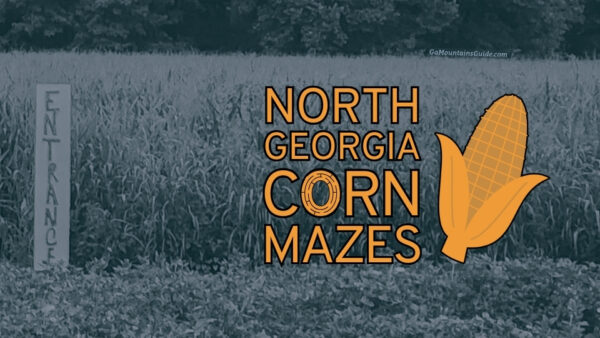 North Georgia Corn Mazes