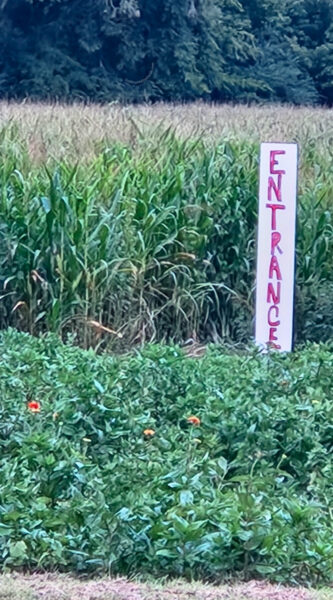U-pick Flowers at Town Creek Valley Farm in Talking Rock GA
