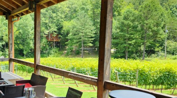 Blue Ridge Treehouse at Bear Claw Vineyards in Blue Ridge Georgia