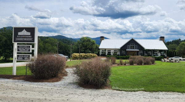 Brunch at Julep Farms in Dillard