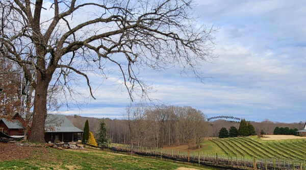 CeNita Winery Cottage Vineyard Rental House