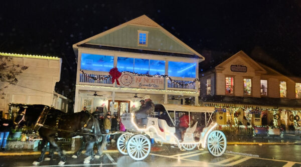 Horse-drawn Carriage Rides in Dahlonega (pictured) and Helen