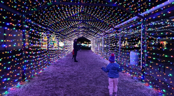 Walk-through Christmas Light Displays in North Georgia (Ellijay)
