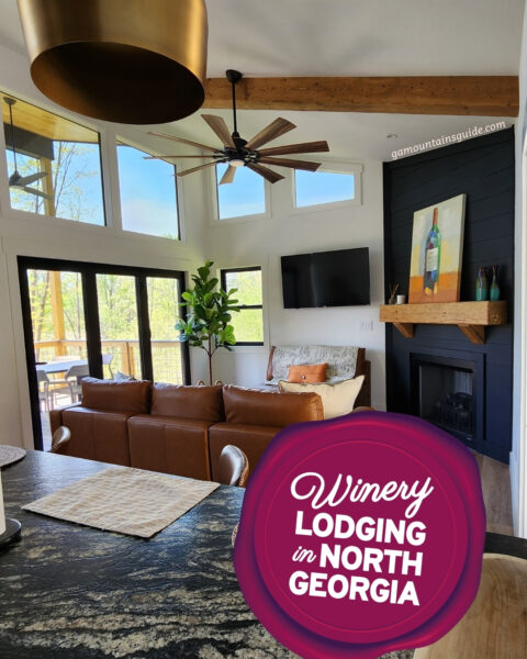 North GA Winery Lodging Cabin Rentals (cabin next to Redtail Mountain Vineyard)
