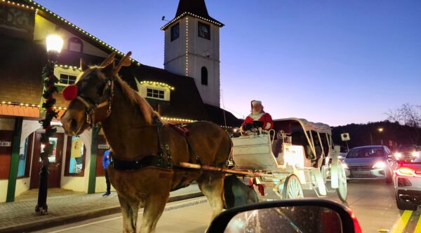 Santa Driving a Horse Drawn Carriage with Dog in Helen GA