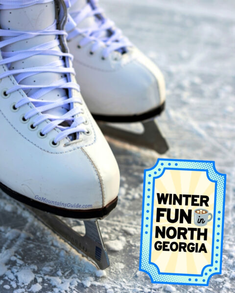 North Georgia Winter Activities