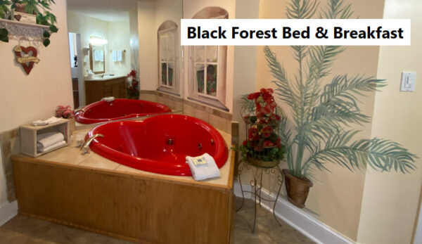 Black Forest Bed and Breakfast Helen Georgia