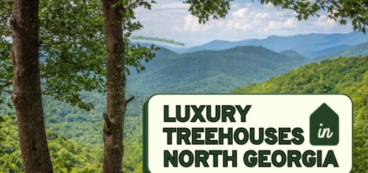 Chattahoochee Oconee National Forest Treehouse Rentals North Georgia near Hogpen Gap