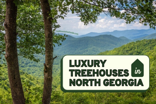 Chattahoochee Oconee National Forest Treehouse Rentals North Georgia near Hogpen Gap