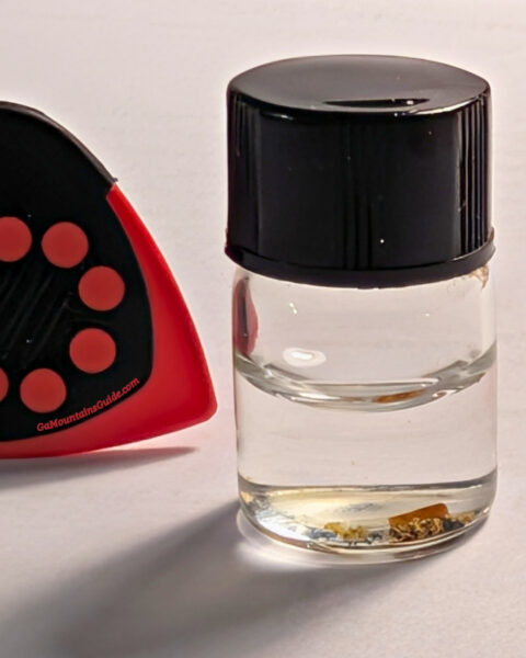 Crisson Gold Mine Gold Panning Dahlonega GA with Guitar Pick for Scale