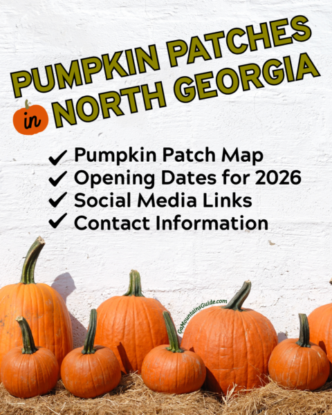 North Georgia Pumpkin Farms 2026